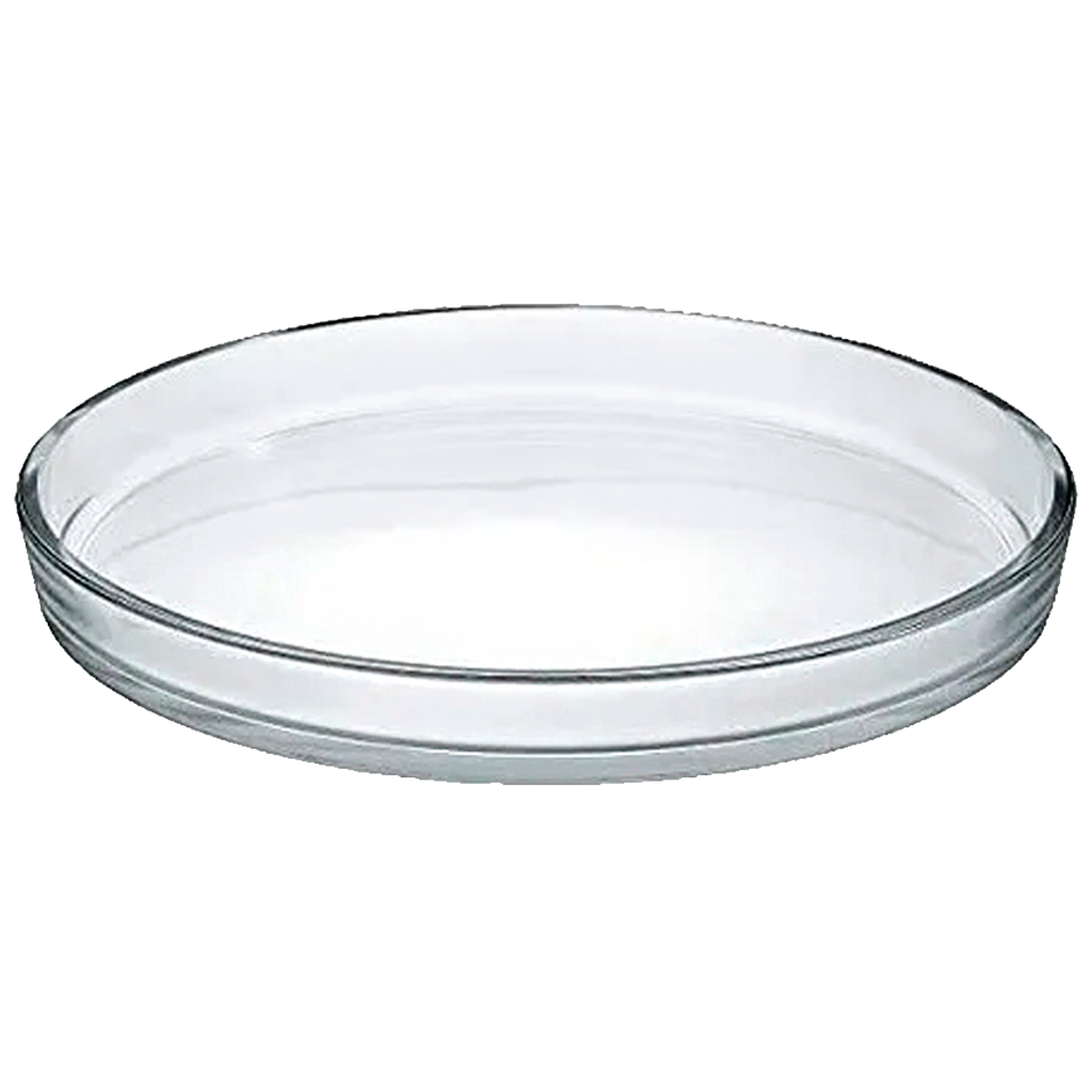 Plato de vidrio para muestra