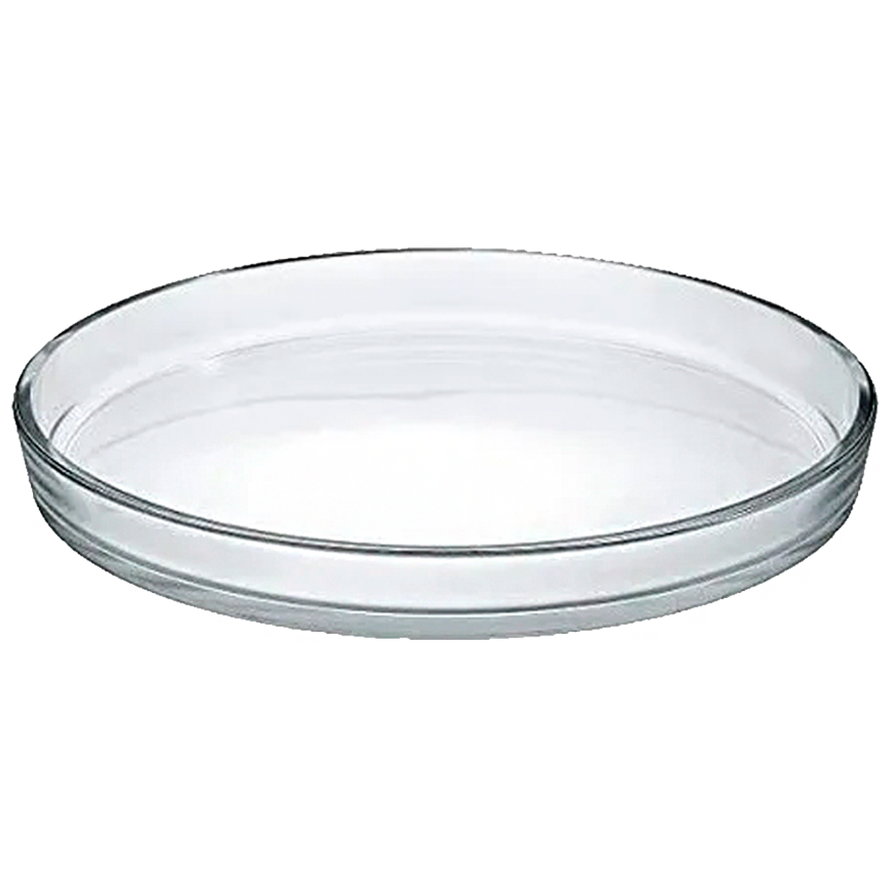 Plato de vidrio para muestra